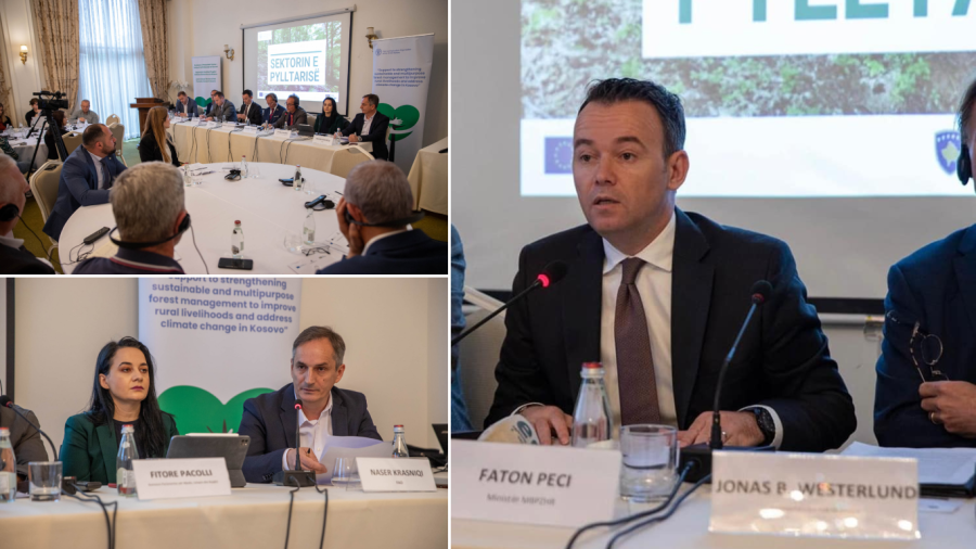 Ministri BPZHR Faton Peci: Vlerësuam se në sektorin e pylltarisë janë ndërmarrë hapa të rëndësishëm...